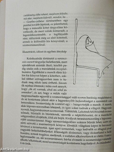 Csipesszel a lángot
