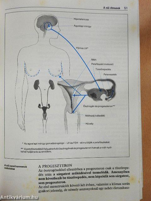 Nők egészségkönyve