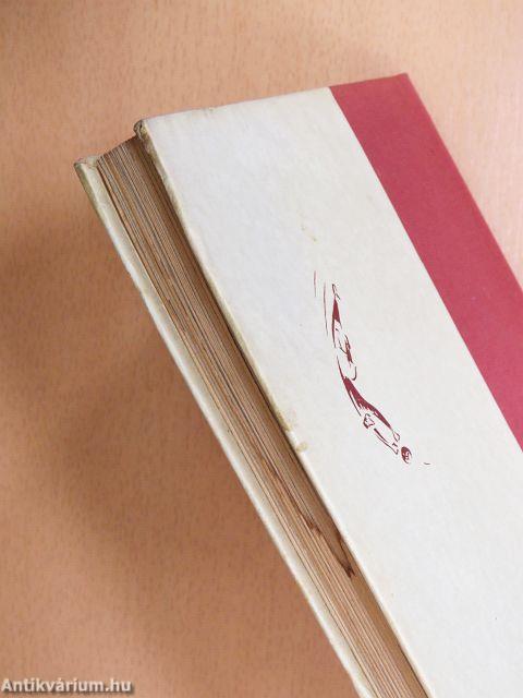 Így láttam a kapuból