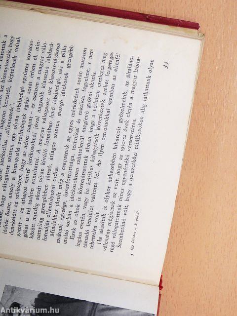 Így láttam a kapuból