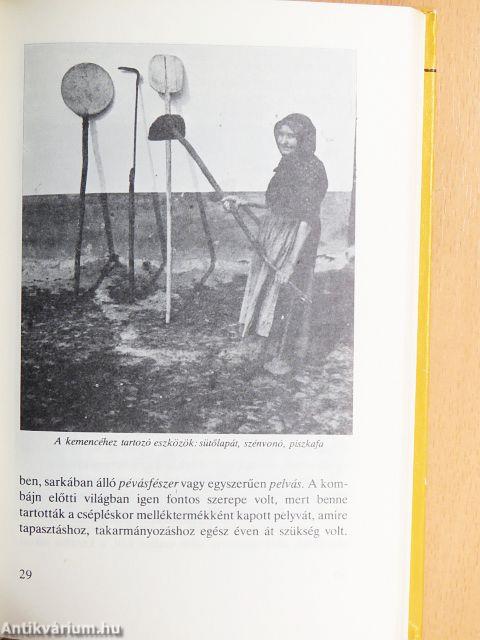 Vajdasági magyar néprajzi kalauz