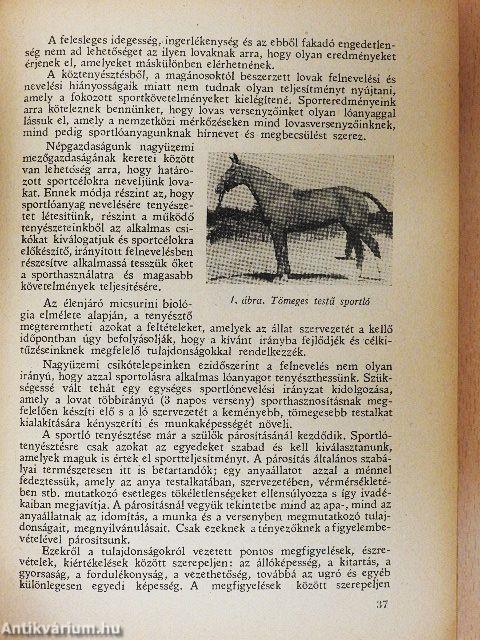 Lovaglás és hajtás