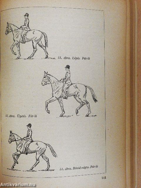 Lovaglás és hajtás