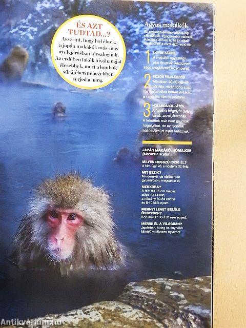 National Geographic Magyarország 2016. október