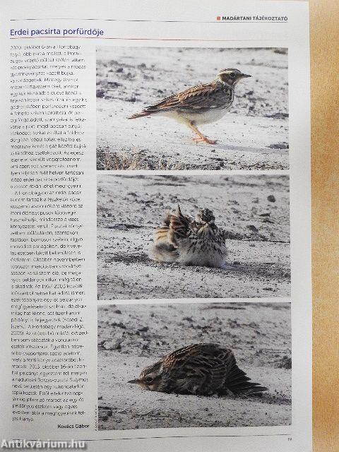 Madártávlat 2022. nyár