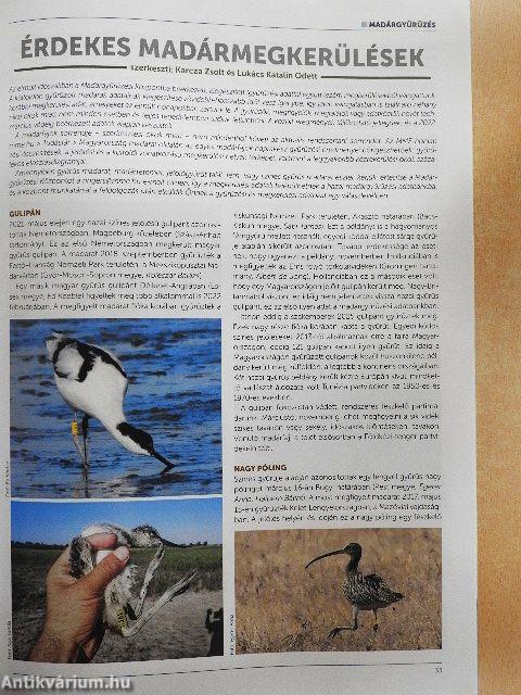 Madártávlat 2022. nyár