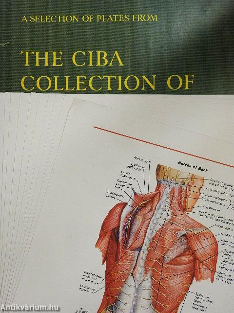 A Selection of Plates from the CIBA Collection of Medical Illustrations