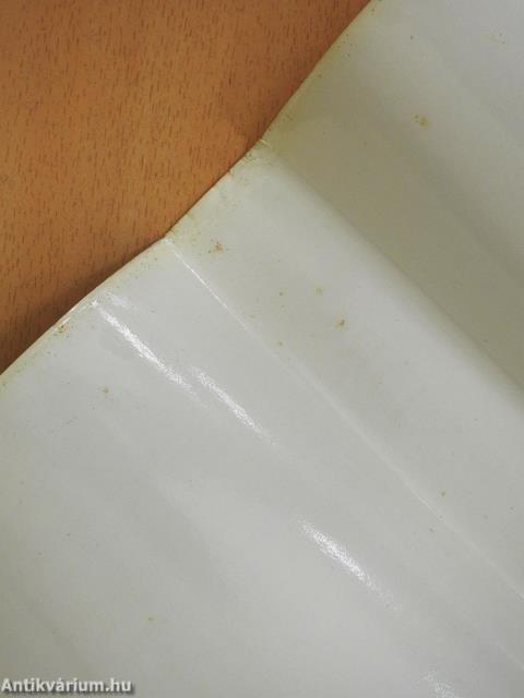 Igézet (dedikált példány)