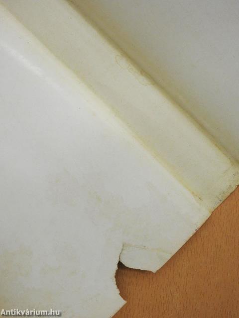 Árnyékrajzok (dedikált példány)