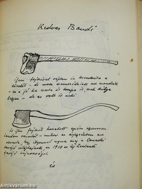 Árnyékrajzok (dedikált példány)