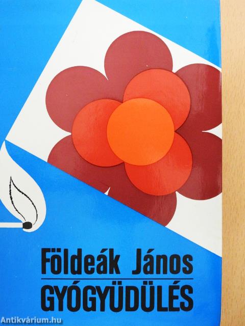 Gyógyüdülés (dedikált példány)