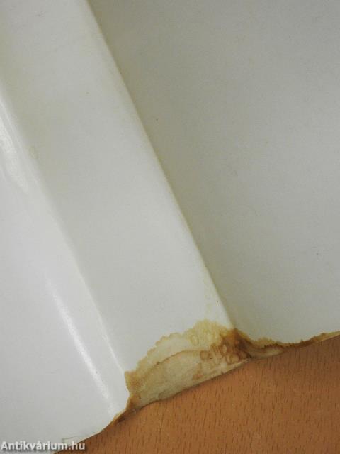 A zsenik iskolája (dedikált példány)