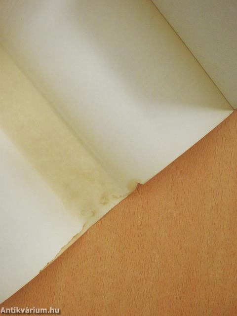 A dráma sorsa (dedikált példány)