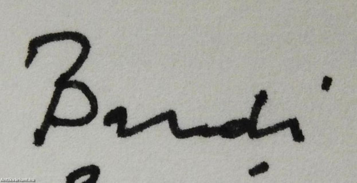 Ember a retikülben (dedikált példány)