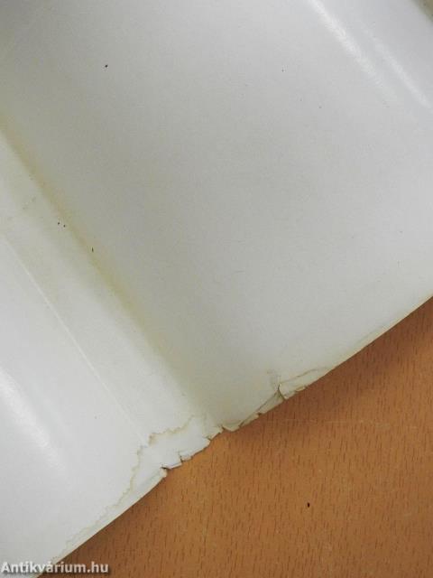 Pannóniából Európába (dedikált példány)