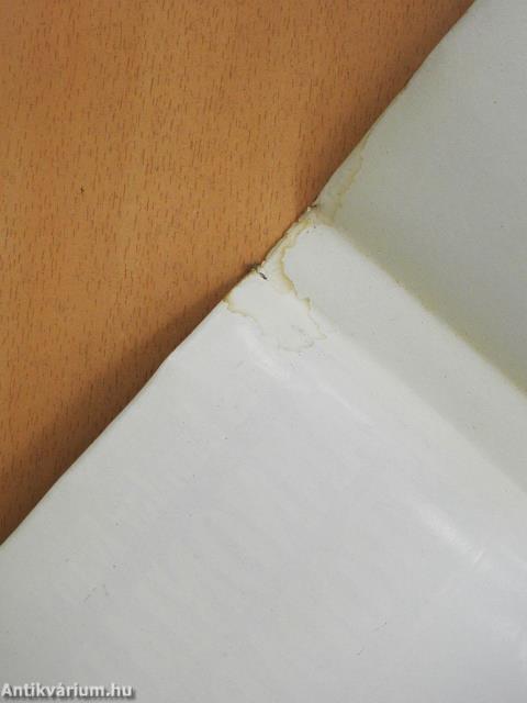 Pannóniából Európába (dedikált példány)