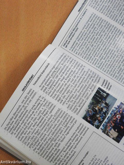 40 éves a budaörsi Illyés Gyula Gimnázium és Közgazdasági Szakközépiskola