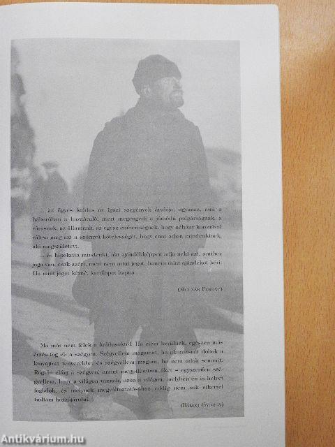 "A tettetésnek minden mesterségeiben jártasok..."