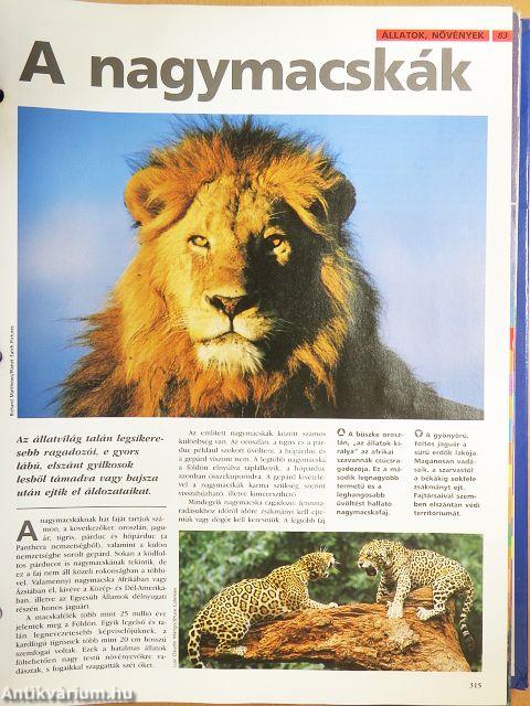 A Tudás Fája 1-4. (nem teljes sorozat)