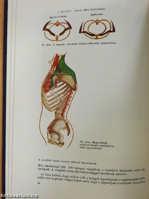 Légzésrehabilitáció