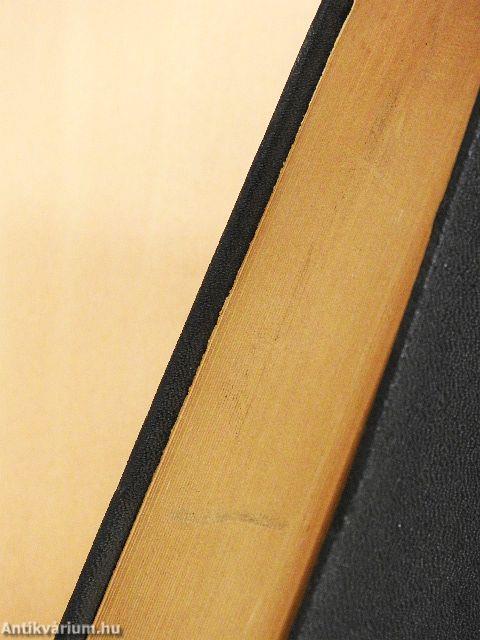 Kossuth Lajos 1848/49-ben V.