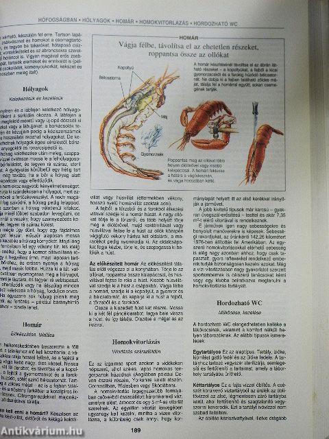 Ötletek, jó tanácsok, megoldások bármire