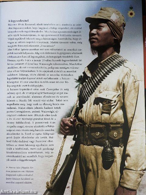 Amerika hadba lép