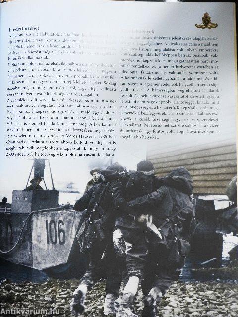 Amerika hadba lép