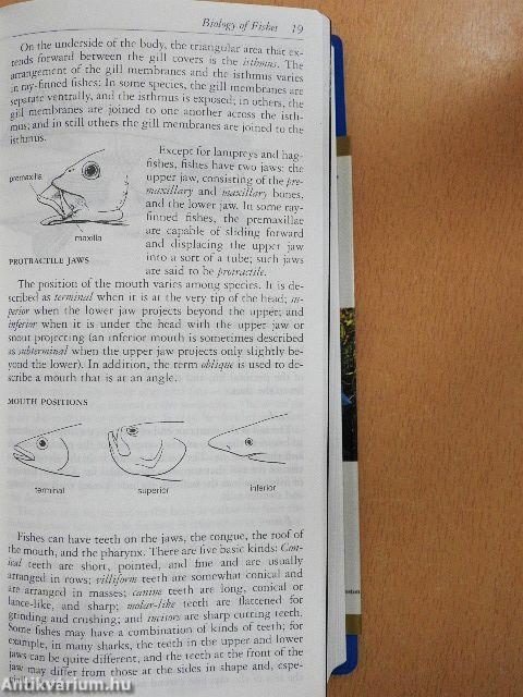 National Audubon Society Field Guide to Fishes