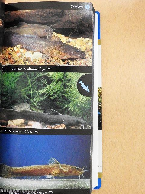 National Audubon Society Field Guide to Fishes