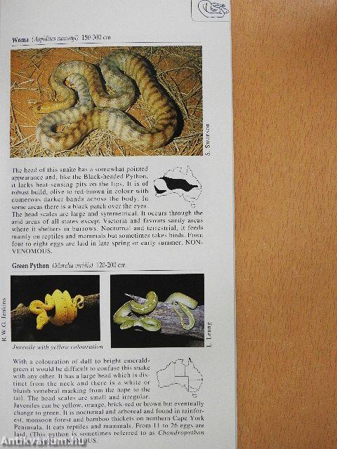 A Photographic Guide to Snakes & Other Reptiles of Australia
