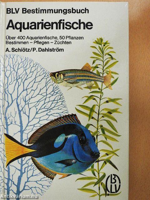 Aquarienfische