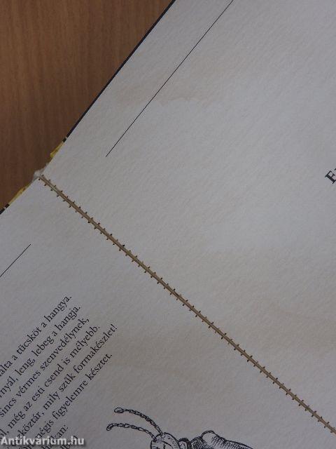 Werther szerelme és halála