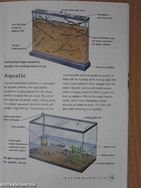 Keeping Creepy Crawlies