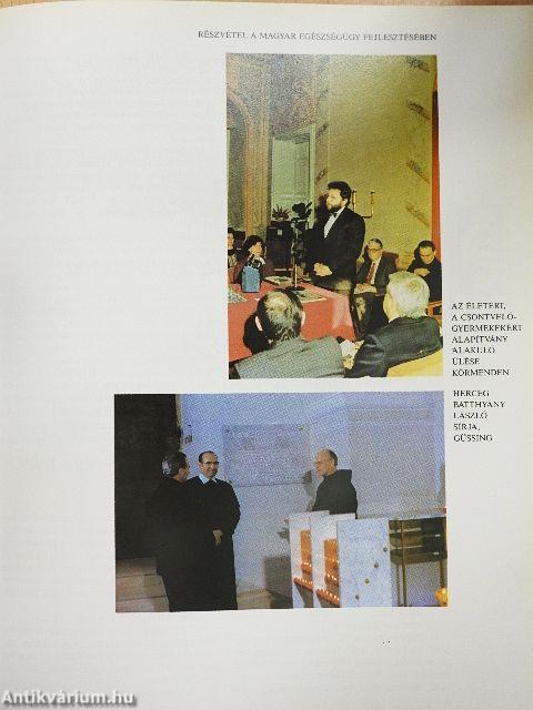 A Batthyány társaság