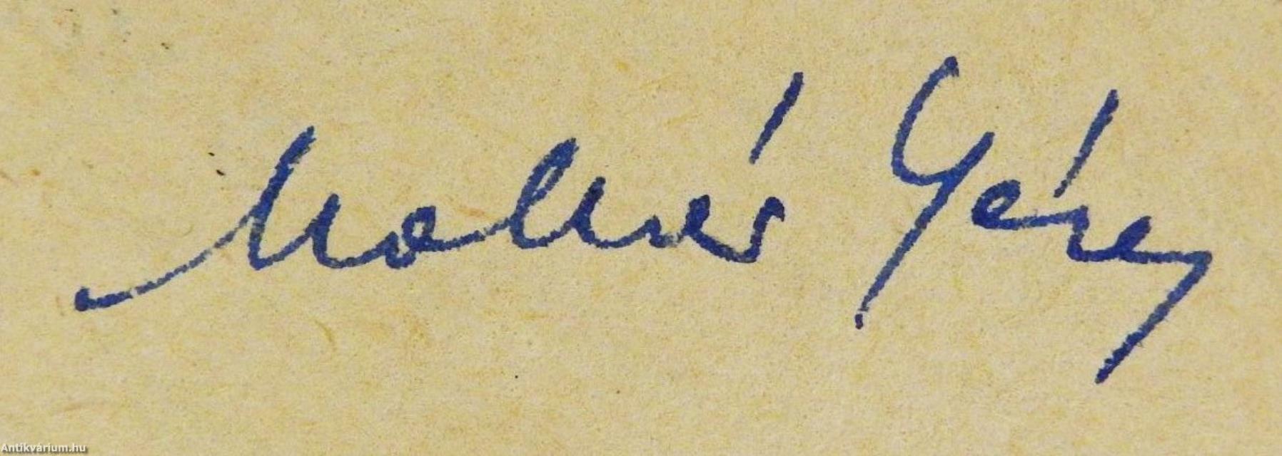 A szerelmes kisinas (dedikált példány)