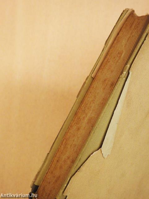 A szerelmes kisinas (dedikált példány)