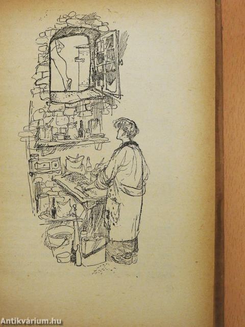 A szerelmes kisinas (dedikált példány)