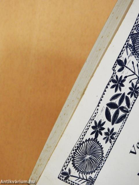 Kies Kiskunság, szeretett Szentmiklós (dedikált példány)