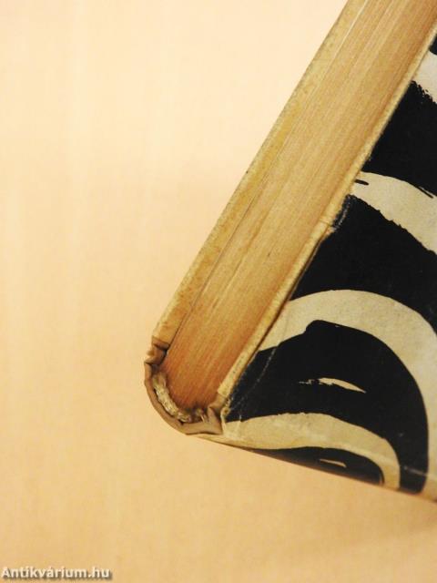 Hamis pénz (dedikált példány)