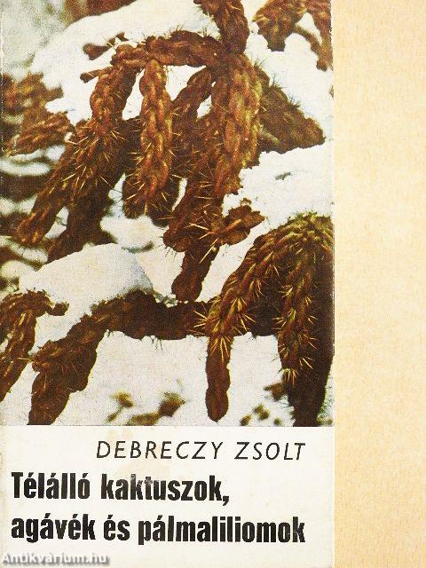 Télálló kaktuszok, agávék és pálmaliliomok