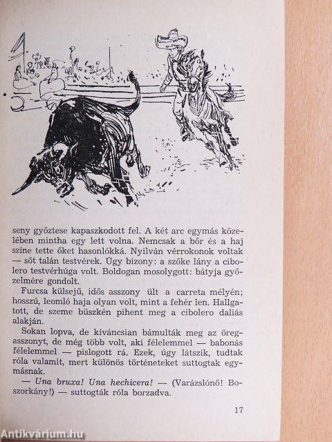 A fehér törzsfőnök