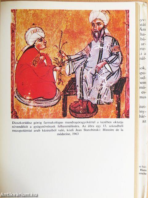 Mandragóra I-II.