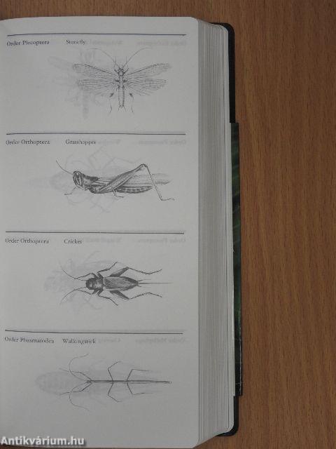 National Audubon Society Field Guide to North American Insects & Spiders