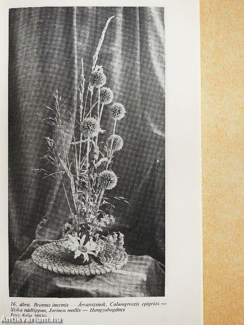 Díszfüvek, kerti gyepek és pázsitok