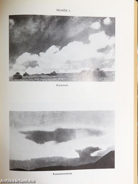 Természettudományi kislexikon I-II.