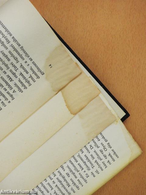 Szigorlat (dedikált példány)