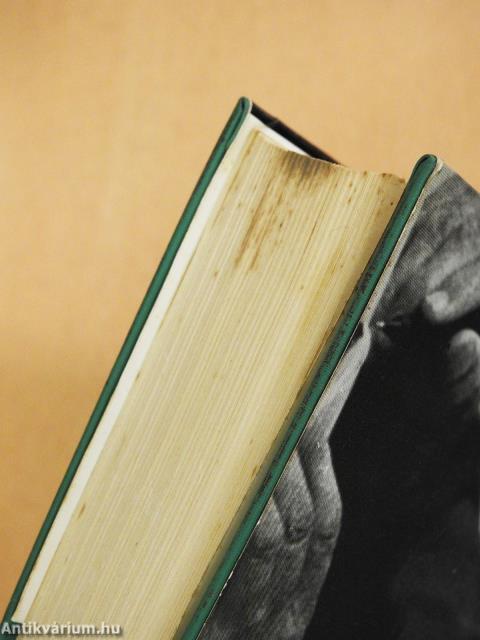 Tűréshatár (dedikált példány)