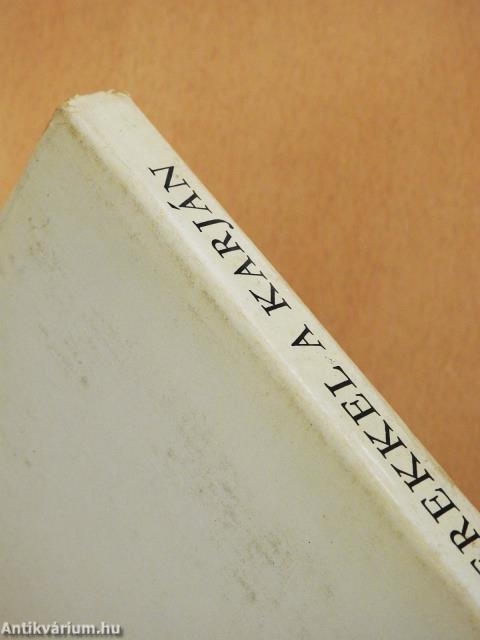 Gyerekkel a karján (dedikált példány)