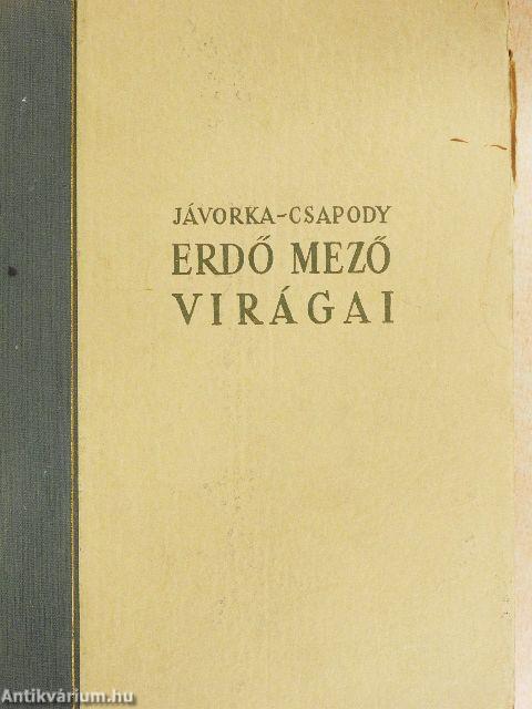 Erdő mező virágai